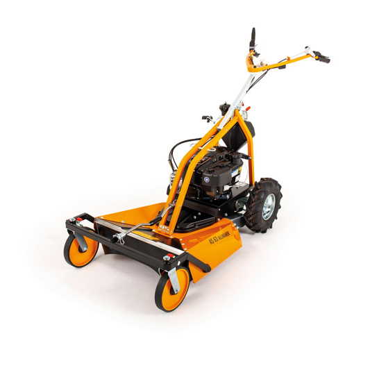Produktabbildung: AS-Motor - AS 63 4T B&S