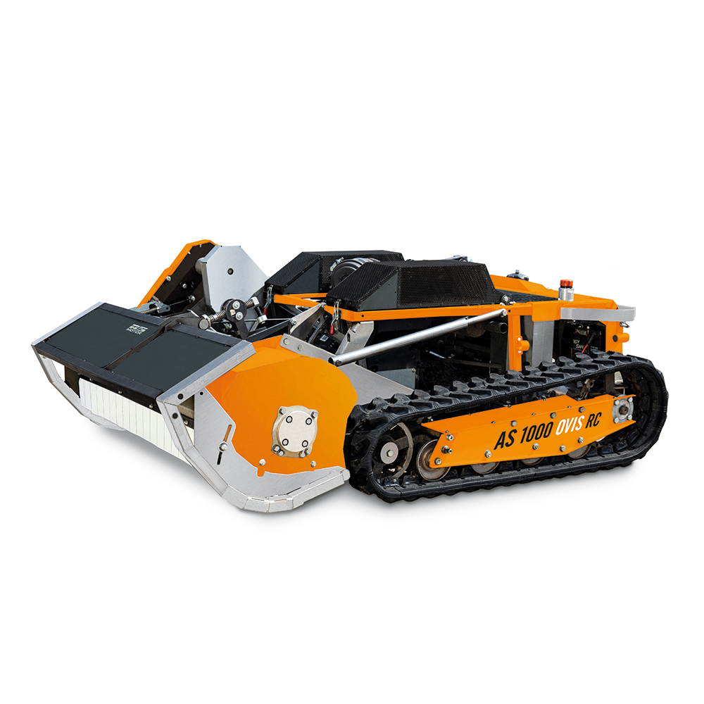 Produktabbildung: AS-Motor - AS 1000 Ovis RC