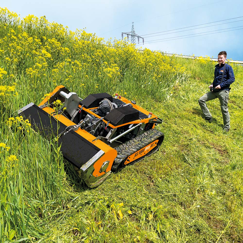 Produktabbildung: AS-Motor - AS 1000 Ovis RC